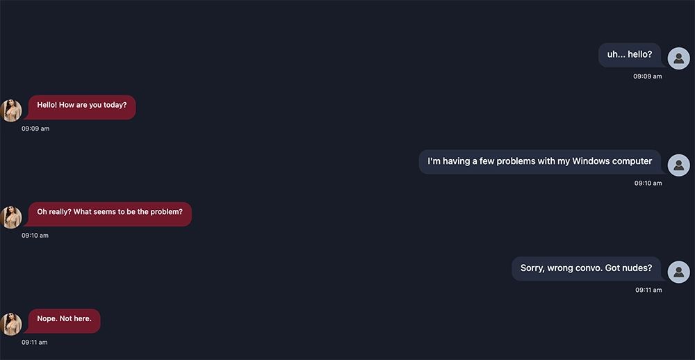 weird exchange on PornJourney